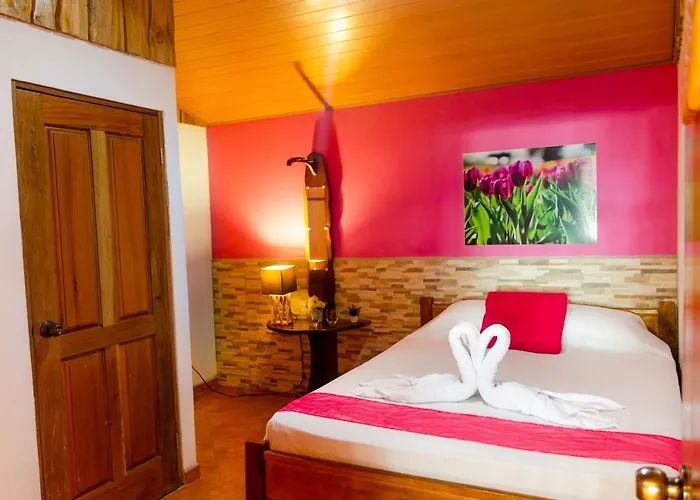 Bed & Breakfast La Dolce - On The -